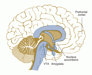 Anxiety Disorders
