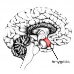 Causes and Treatment of Anxiety Disorder 
